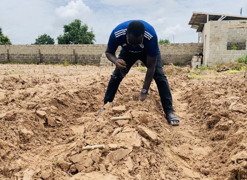 MaslamSanneh's tweet photo. #FarmSunday
Cassava planting 90% done!
#MaslamFarmπ± https://t.co/DDLUOQMXoH