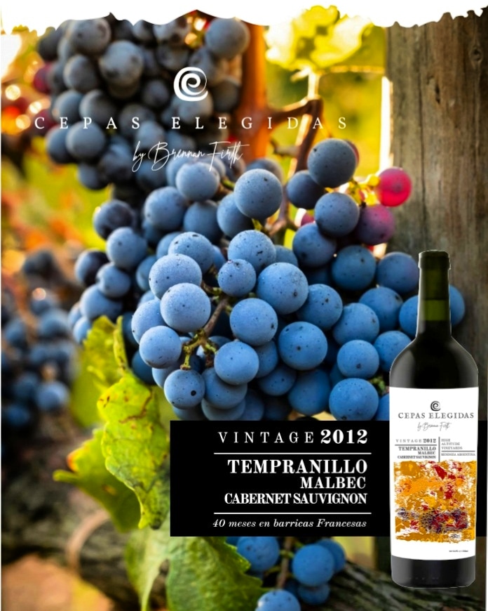 Tempranillo 70%
Malbec 23%
Cabernet Sauvignon 7%

2012
40 meses en barricas Francesas

Solo 280 botellas!

Recorda que podes adquirir los vinos pidiendonos nuestro whatsapp por DM!