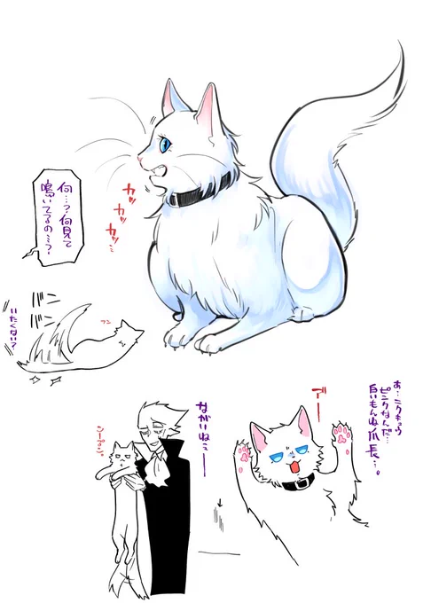 おまけ=^・ω・^= 