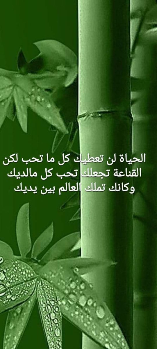 moonshs3's tweet photo. #مساء_الخير https://t.co/A4qHaU8fb4
