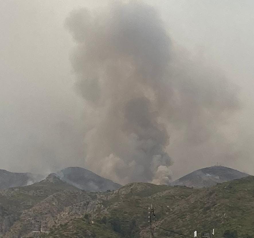 Pego Viu tweet media