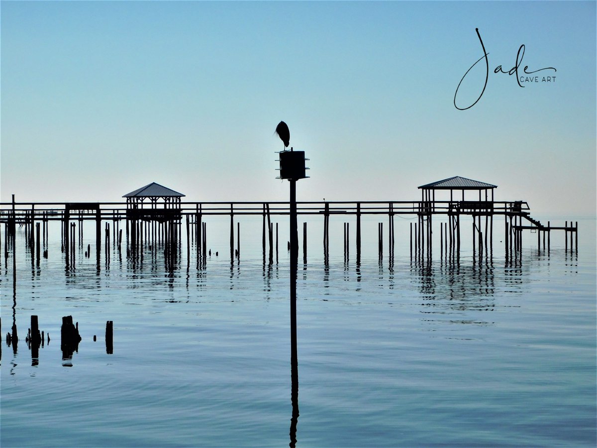 ✨"Keep your #love of #nature, for that, is the true way to understand art more &amp; more"
― Vincent van Gogh

📸Photo taken in #Alabama.

#photographer #photograghy #PhotoOfTheDay #NaturePhotography #landscape #ArtistOnTwitter #art #motivation #quoteoftheday #Inspiration #beautiful