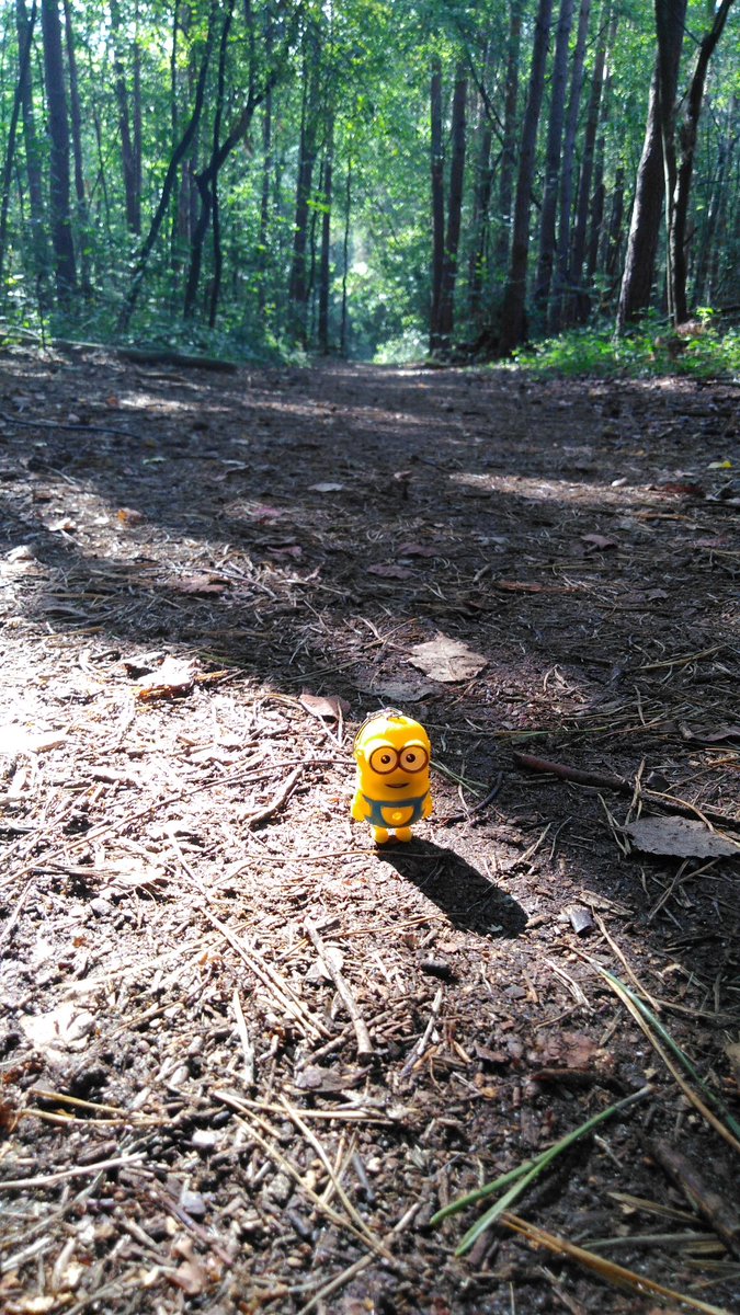 TenZiggy's tweet photo. Spotkałem minionka w lesie https://t.co/5TmAssbBYS