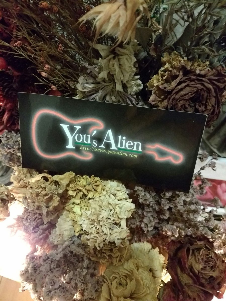 AlienTakaos's tweet photo. こんばんは🌃
まりんちゃん🎸を
預けた後、
本当に有意義な
時間であった。
でも、
まだまだ知らない事だらけ。
勉強、また勉強だ。
でも、楽しみも増えたので、
良くなって返ってくると
いいなーと、以前
YOUさんが言っていたのを
思いだしましたよ🍀
お休みなさい😊
#YousAlien https://t.co/AswG2X1O76