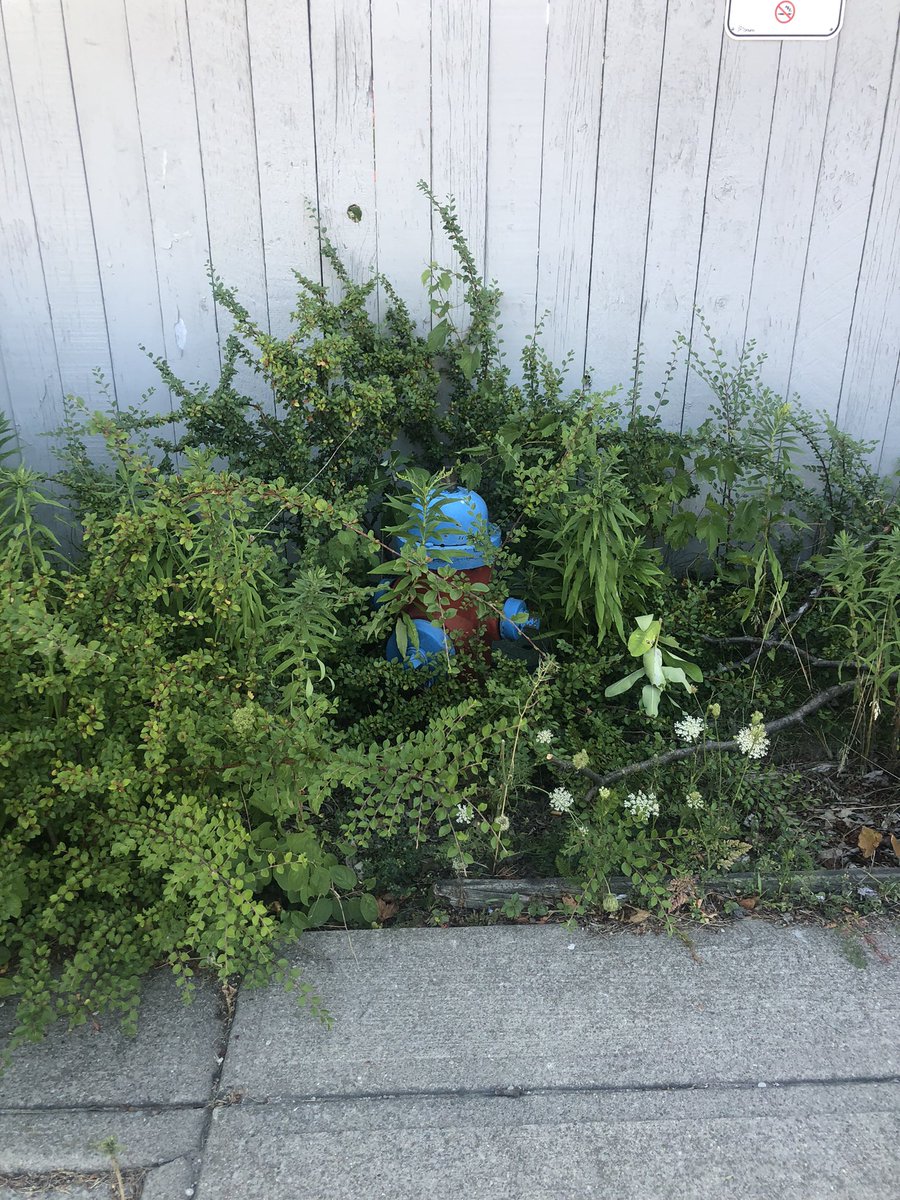 Fosters_mom_14's tweet photo. @cityofhamilton this is the fire hydrant outside of Wild Water Works.
It’s the only one I saw.
Probably a good idea to have someone come and clear around it, so it can actually be found, BEFORE they need it. #ClearYourHydrant https://t.co/PiTXsgf6ID