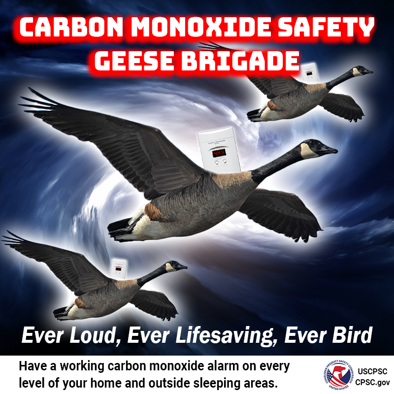 USCPSC's tweet photo. "Remember to ask about working carbon monoxide alarms at your vacation rental!" - America's Carbon Monoxide Safety Geese Brigade https://t.co/SPbeu3aR6s