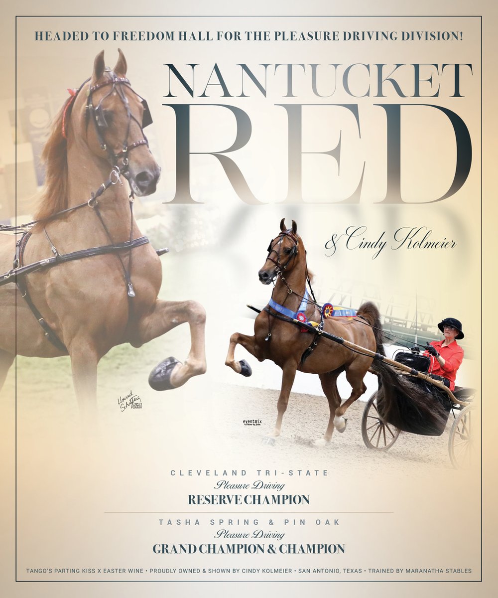 TNH1865's tweet photo. #nationalhorseman #worldschampionship #clevelandtristate #tashaspring #pinoak #cindykolmeier #maranathastables #pleasuredriving #hackneyhorse #saddlebred https://t.co/9CRltlJCET