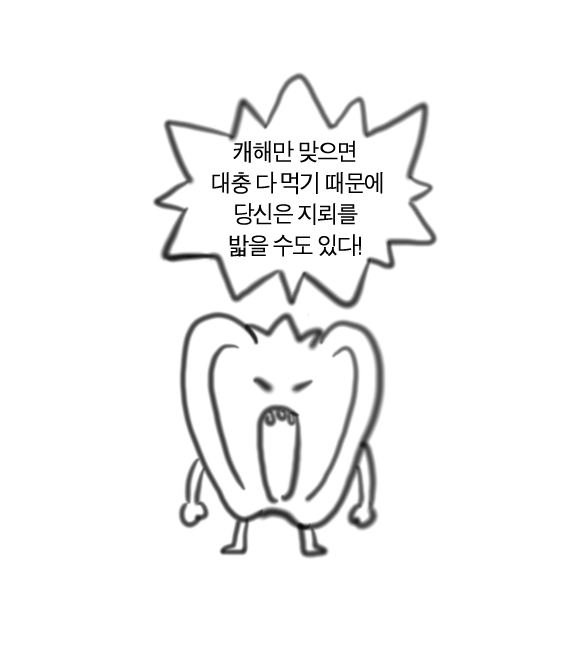 범버꾸 tweet media