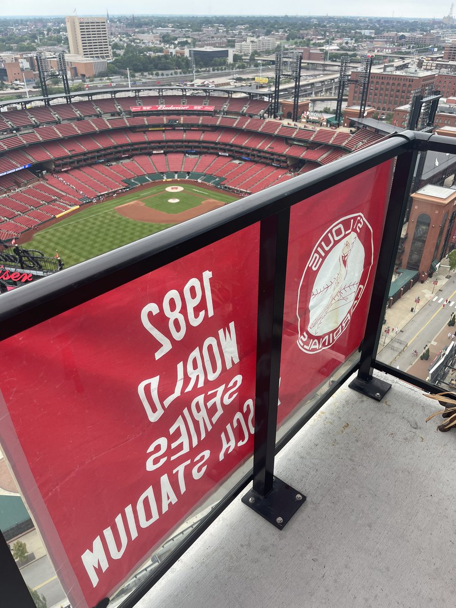 Saute1970's tweet photo. @TheCatOnBallyTV ready for a series win today https://t.co/mOfd4d8U8H