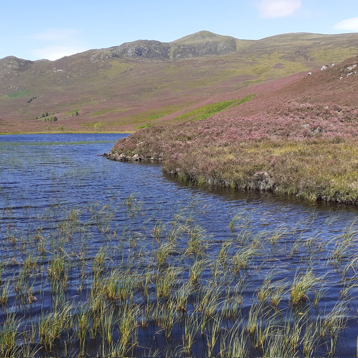 SWLG's tweet photo. WLA 24 Central Highlands - map of all 42 Wild Land Area's and individual descriptions  an be found on the NatureScot website. https://t.co/yHaTpGUmxN