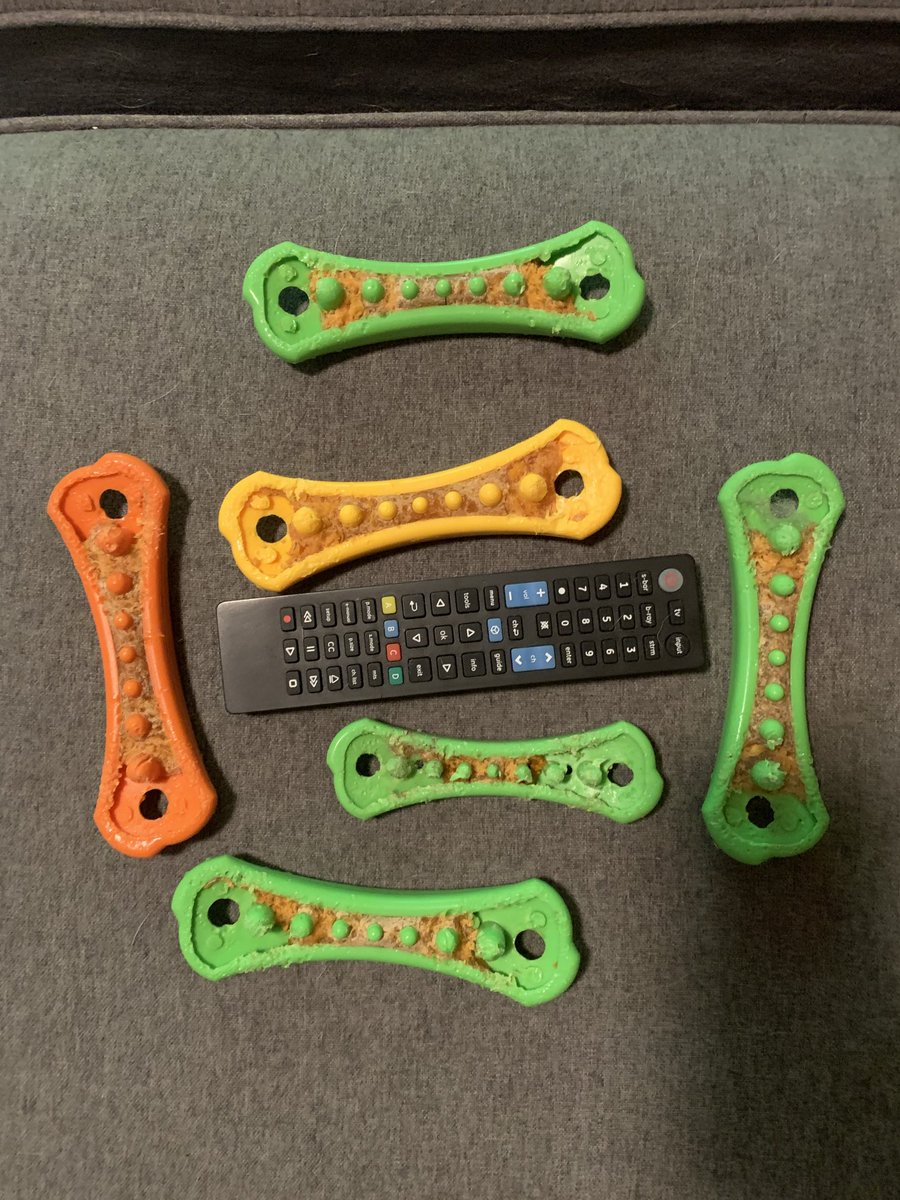 johnboy_1966's tweet photo. So which one is not a dog toy, yet always turns up missing? https://t.co/W5Sy8huxSQ