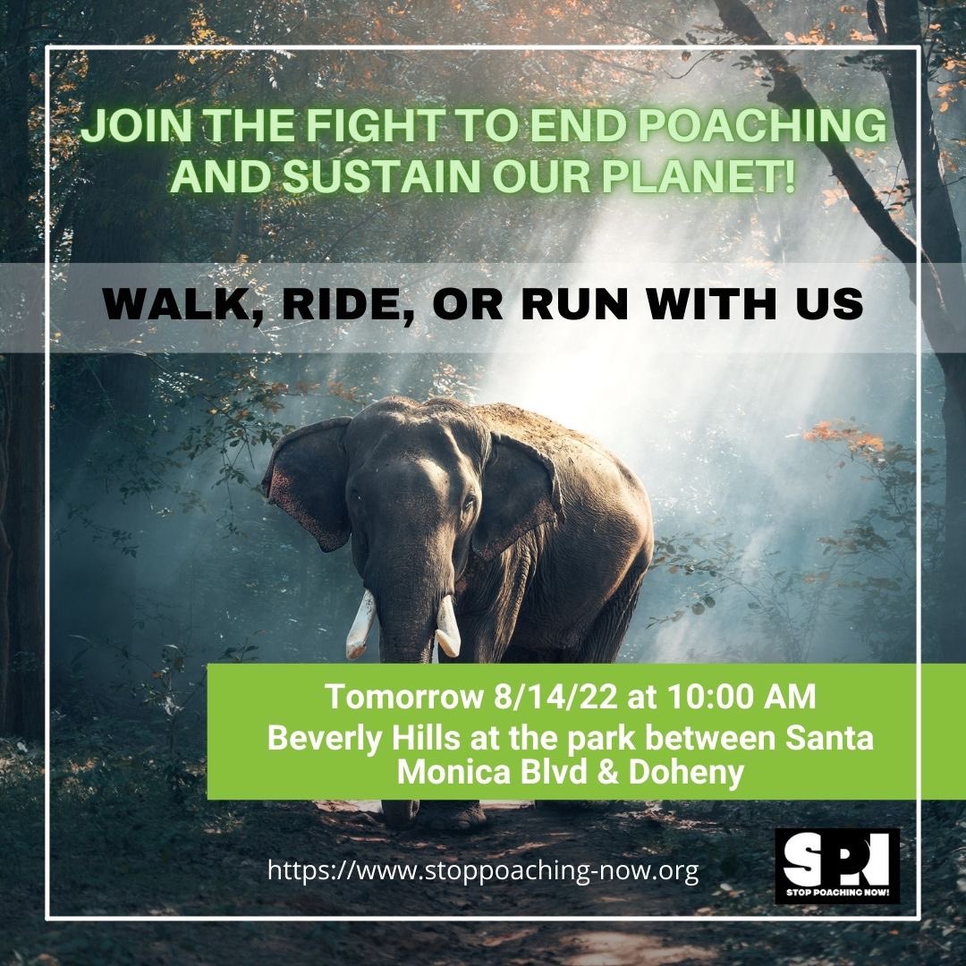 SPNOfficial_'s tweet photo. Join us today for a worthy morning #WalkRideRun in Beverly Hills at the park's water fountain between Doheny and Santa Monica Blvd. as part of Stop Poaching Now's annual Global E-Race Extinction. Help us, help them. https://t.co/LL1Z6TAmOZ https://t.co/E1hhfb2mmA