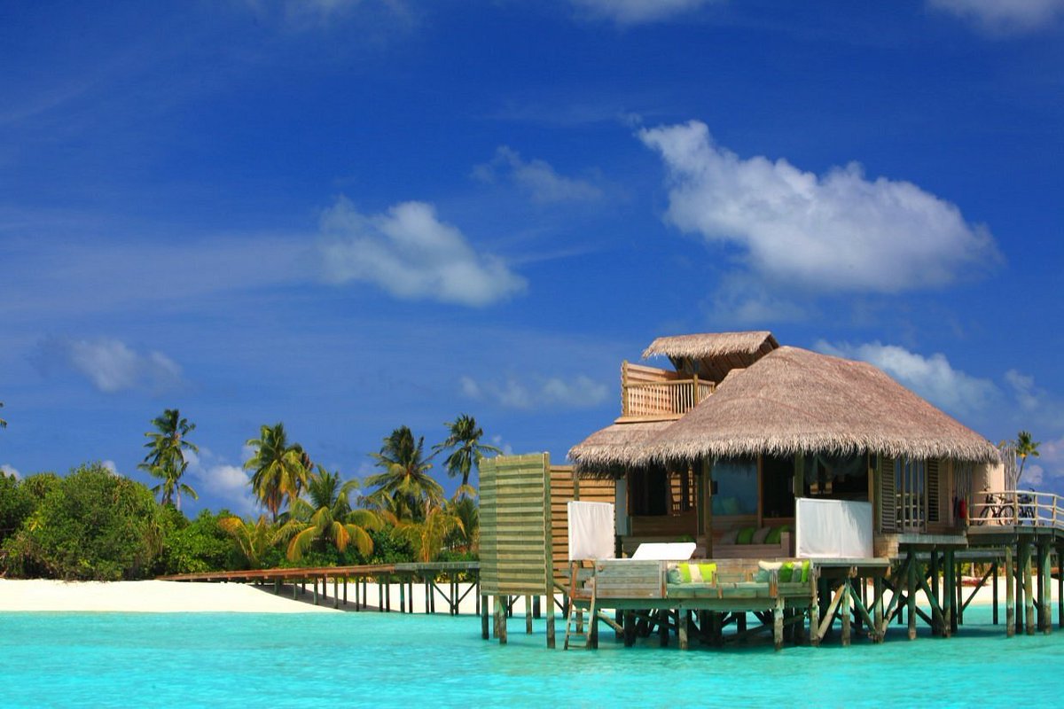 TheWorldsBestH1's tweet photo. The Top 25 Hotels In The World - From The Tripadvisor 2022 Travellers Choice Ratings: 7. Six Senses Laamu, 
Olhuveli Island, Maldives https://t.co/e2qfgMC1uC #sixsenseslaamu #lamuu #Olhuveli #Maldives #Tripadvisor #hotel #resort https://t.co/BdzZqxwbcY