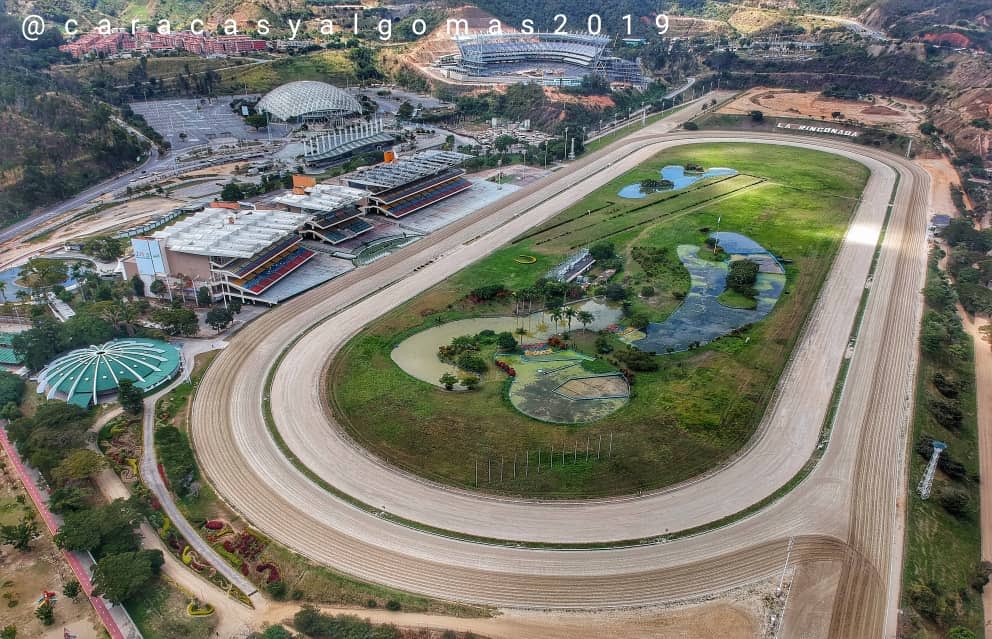 chuchulocutor18's tweet photo. #Hipismo 🏇 Mi línea para hoy en el 5y6 No lo Dio Nadie Nada más mi persona,  jajaaajjaja 😀😀😀 GRAN PEPE https://t.co/cZPsqSuTzH