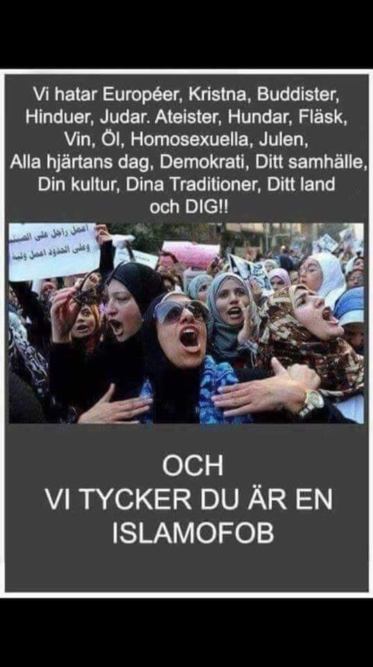 maxi68184026's tweet photo. @BjarkeCharlie Hold jeres pride på Nørrebro de elsker de homosexule https://t.co/QFncI3aFSv