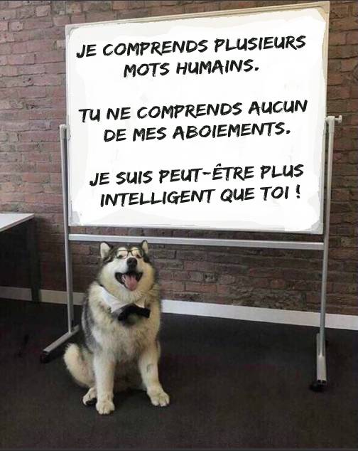 ComplotsFaciles's tweet photo. A méditer... https://t.co/tyTnChVop8
