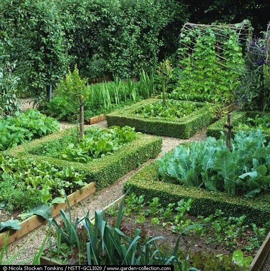 Kgoshigadi_TT's tweet photo. Land is future 🕊 we must challenge white racists on our land https://t.co/QKL0W8CUpU