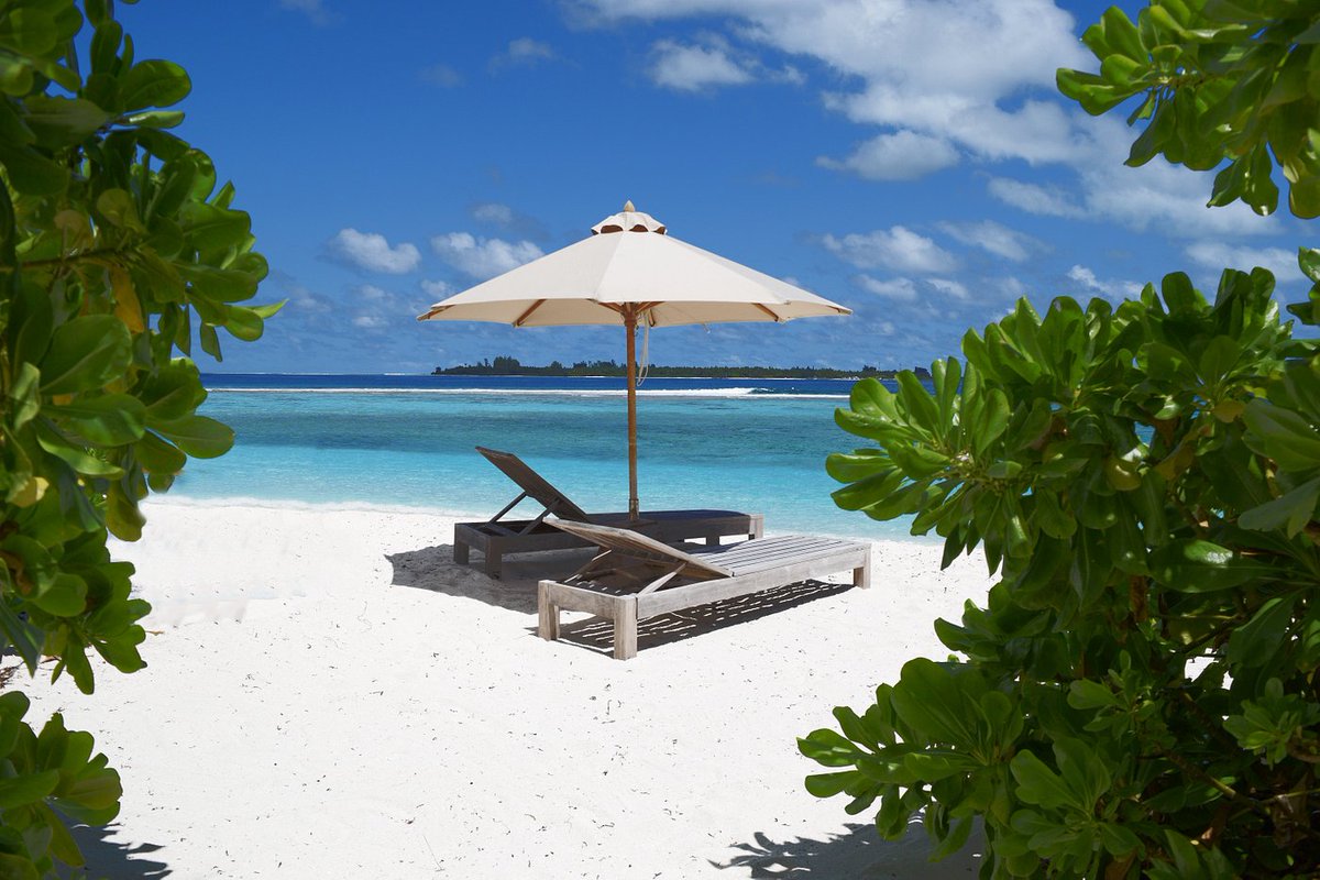 TheWorldsBestH1's tweet photo. The Top 25 Hotels In The World - From The Tripadvisor 2022 Travellers Choice Ratings: 7. Six Senses Laamu, 
Olhuveli Island, Maldives https://t.co/e2qfgMC1uC #sixsenseslaamu #lamuu #Olhuveli #Maldives #Tripadvisor #hotel #resort https://t.co/BdzZqxwbcY
