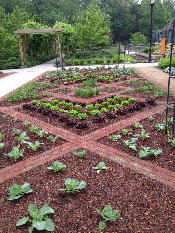 Kgoshigadi_TT's tweet photo. Land is future 🕊 we must challenge white racists on our land https://t.co/QKL0W8CUpU