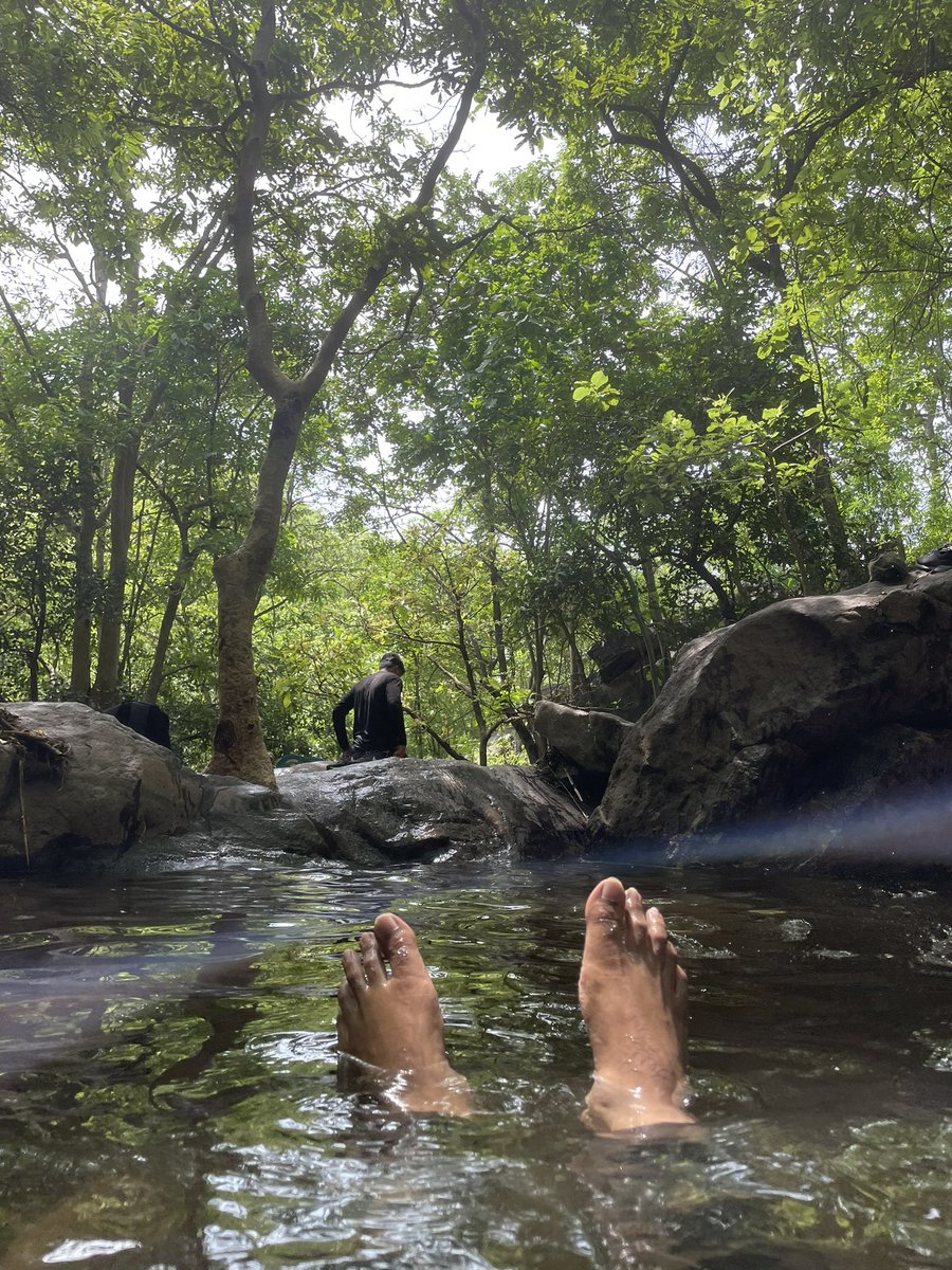 available_nt's tweet photo. @KavyaGupta876 @bhash @OlaElectric This is mulapadu forest https://t.co/IwabIvpelS