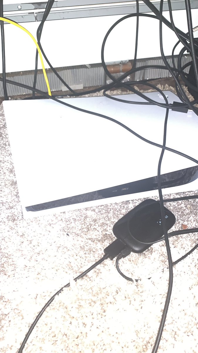 Jerry Springdale tweet media