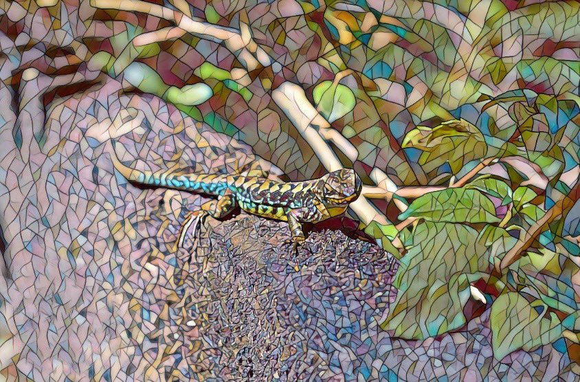 RinJeanne's tweet photo. ✨Lizard, south Chile 🌟 In mosaic art. 
🌏It is part of the mosaic animal world collection.
https://t.co/dcqfv4zrH7
 
#nftart #nftcollector #NFTCommunity #nftphotography #NFTdrop #NFTProject #Collectibles #nft #nftpassionate #nfts #nftcollectors #nftcollectibles #lizards https://t.co/ilqtmxfqnl