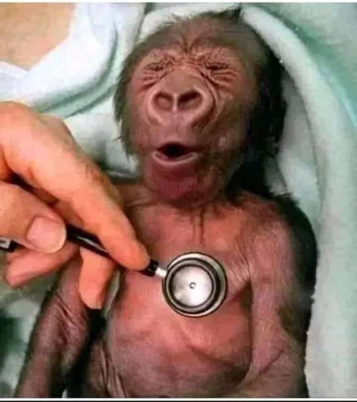 President Uhuru Kenyatta you must ACT now or was this a long CON?Baba has WON the elections just Protect his WIN.What’s the point of Kenyans voting if we rig out the winner?