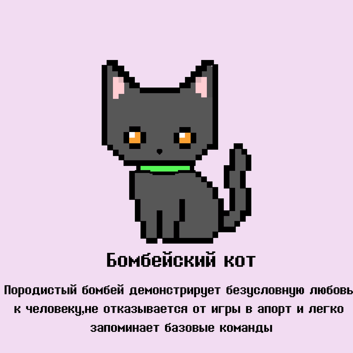 PixelCatsTON's tweet photo. #NFT #NFTCollection #NFTCommuntiy https://t.co/q1YbNbXgpn