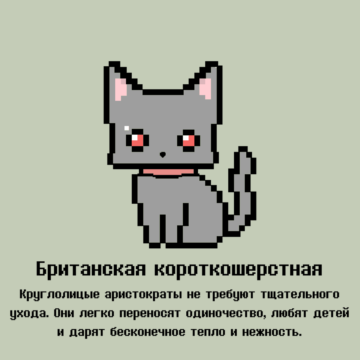 PixelCatsTON's tweet photo. #NFT #NFTCollection #NFTCommuntiy https://t.co/ykZDQATaV1