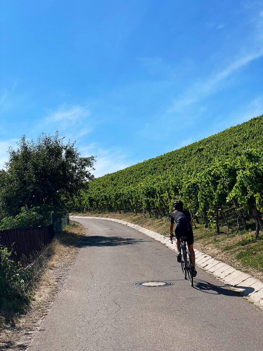 Lukas Fütterer // @lukizzl@mastodontech.de tweet media