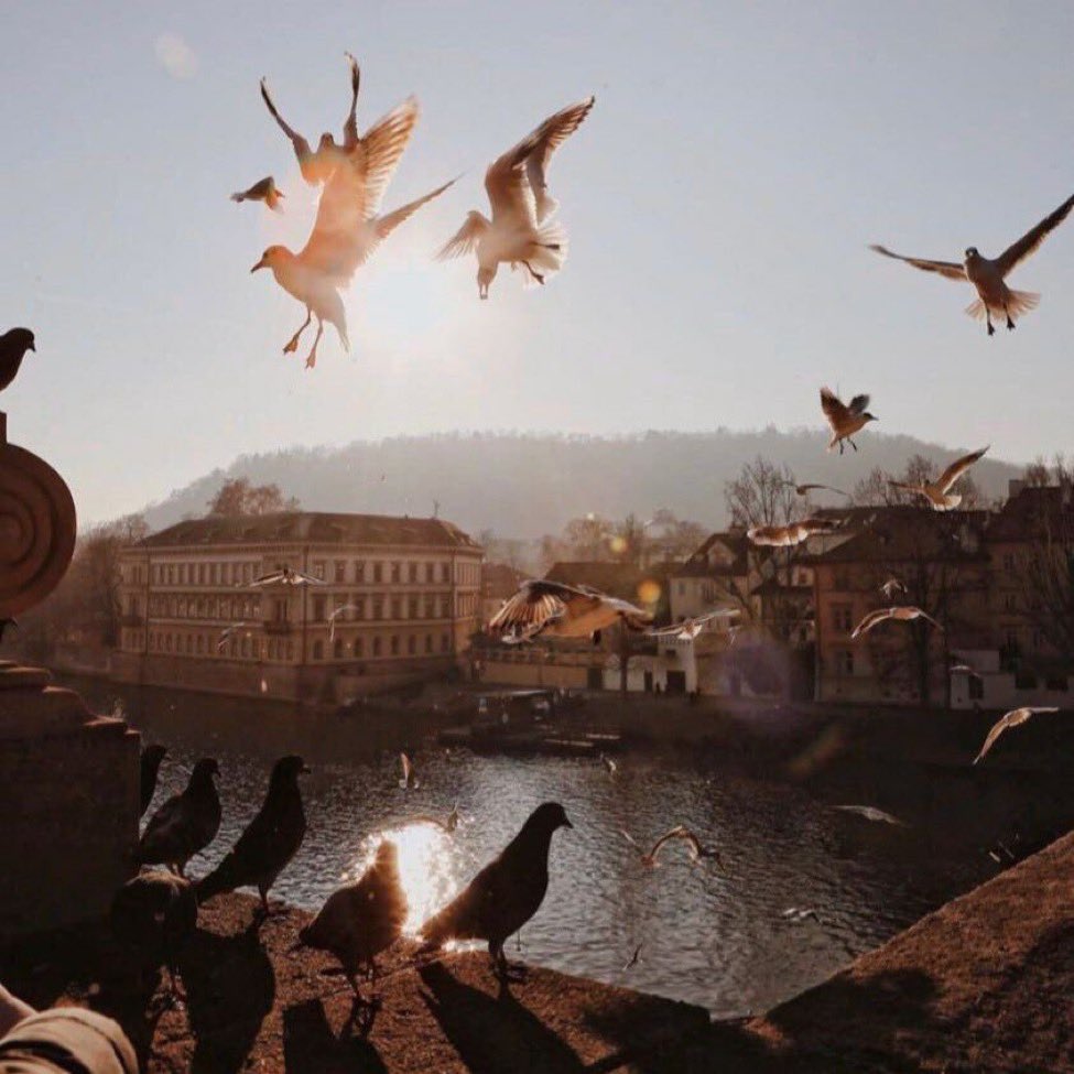 حين تغلبك عفويتك .. ويكون الصدق شعارك .. والنية الطيبة منهجك 
فلا ترهق نفسك لإثبات ذلك للآخرين..
سيفهمك من يمتلك روحاً طيبة ونيه حسنة فقط ❤