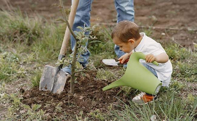 pagekabyle's tweet photo. On se plaint tous des températures élevées, mais jamais on pensera à planter un arbre pour l'année prochaine. https://t.co/dhpFNLZHNx
