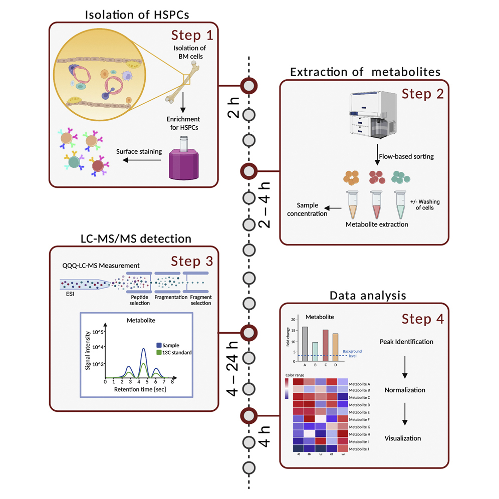 CellPressNews's tweet photo. Online in @STARProtocols: Dr Nina Cabezas-Wallscheid @Nina_CabezasW @mpi_ie
describing two targeted #LC_MS approaches to detect #metabolites from limited numbers of hematopoietic stem cells: https://t.co/evv322IFEQ
#LiquidChromatography #MassSpectrometry https://t.co/qnT46swXFV