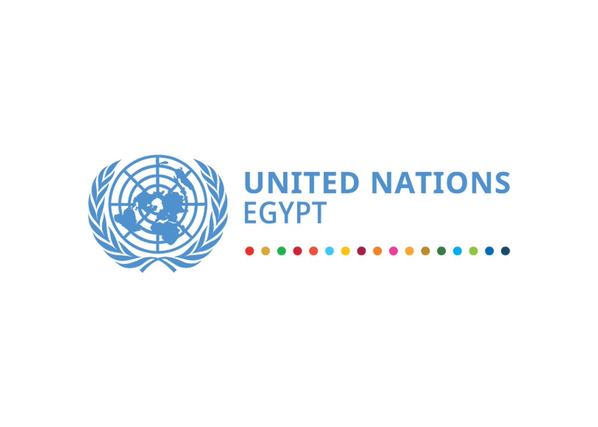 United Nations Egypt tweet media
