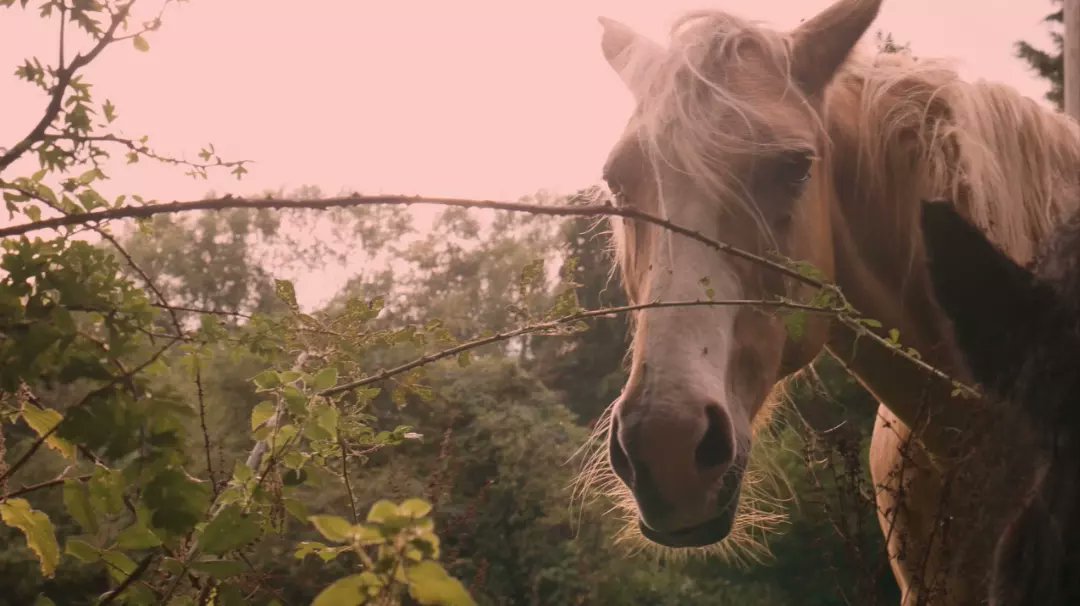 0neWay UK tweet media