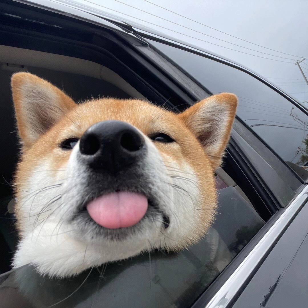 wgdbfns's tweet image. Little boy, don&apos;t stick your head out the window