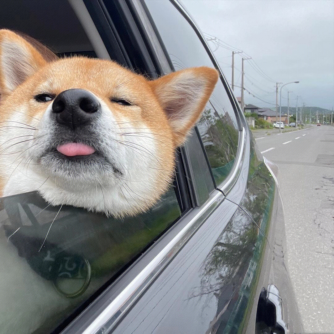 wgdbfns's tweet image. Little boy, don&apos;t stick your head out the window