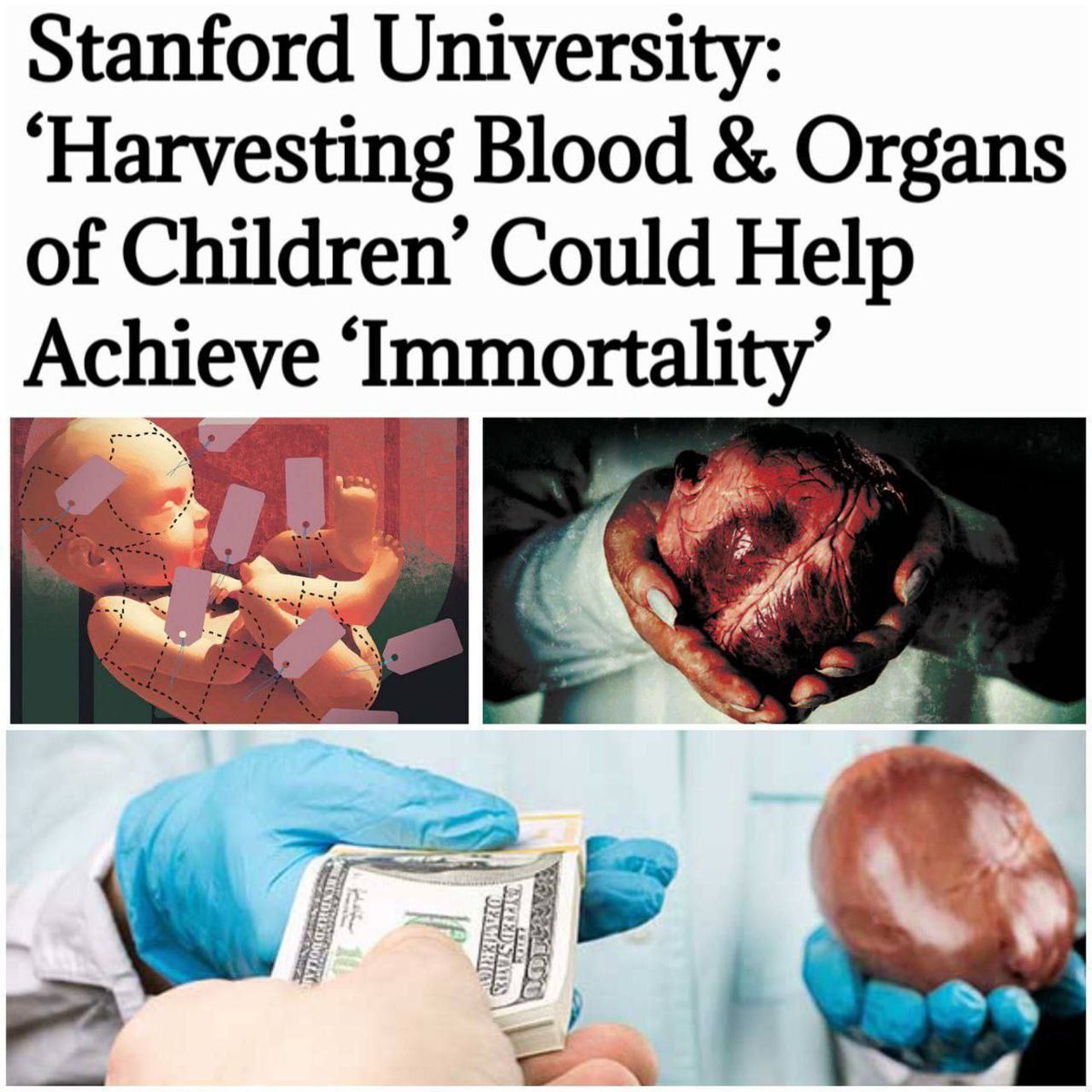 Attempts to normalize cannibalism and infanticide

"Collecting blood, body parts, including children's organs, and transplanting them into older people's bodies could help humanity achieve "immortality," according to researchers at Stanford University.