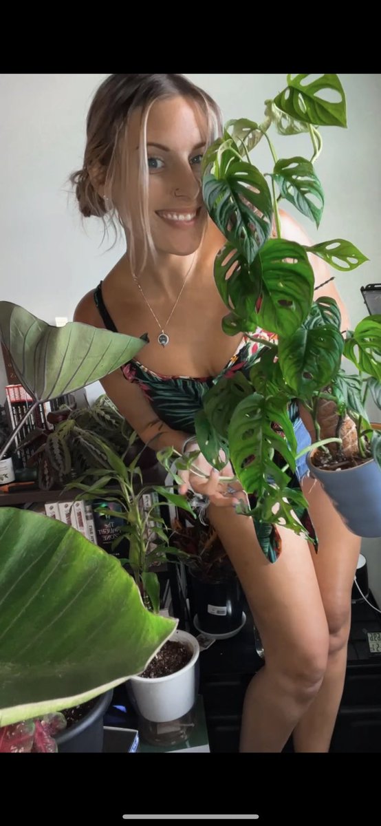 Ashlea_Walks's tweet photo. Come check out my jungle 🪴
https://t.co/p3xY7ldOde https://t.co/lSYAn99T6W