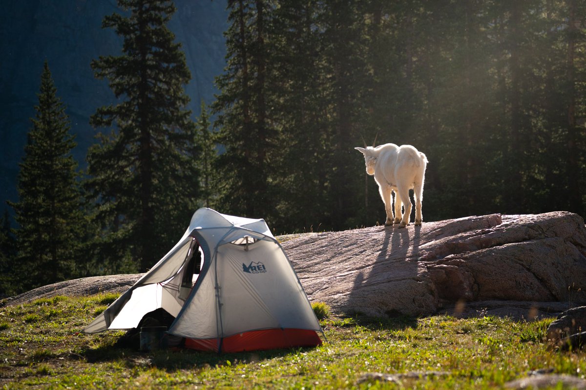 Welshman_P's tweet photo. Rocky mountain mornings https://t.co/UMyANYhCEY