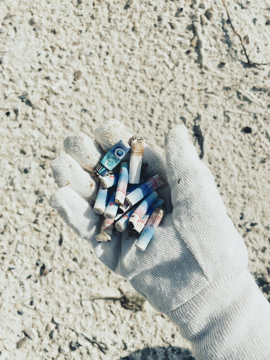 El día viernes realizamos la limpieza de playas con el equipo de  @verderespong y  #Limpiemosyucatan  es muy importante mantener nuestras playas limpias ya que es un lugar donde podemos ir a disfrutar con amigos y familia,te invito a qué te sumes ayudándonos a mantenerlas limpias