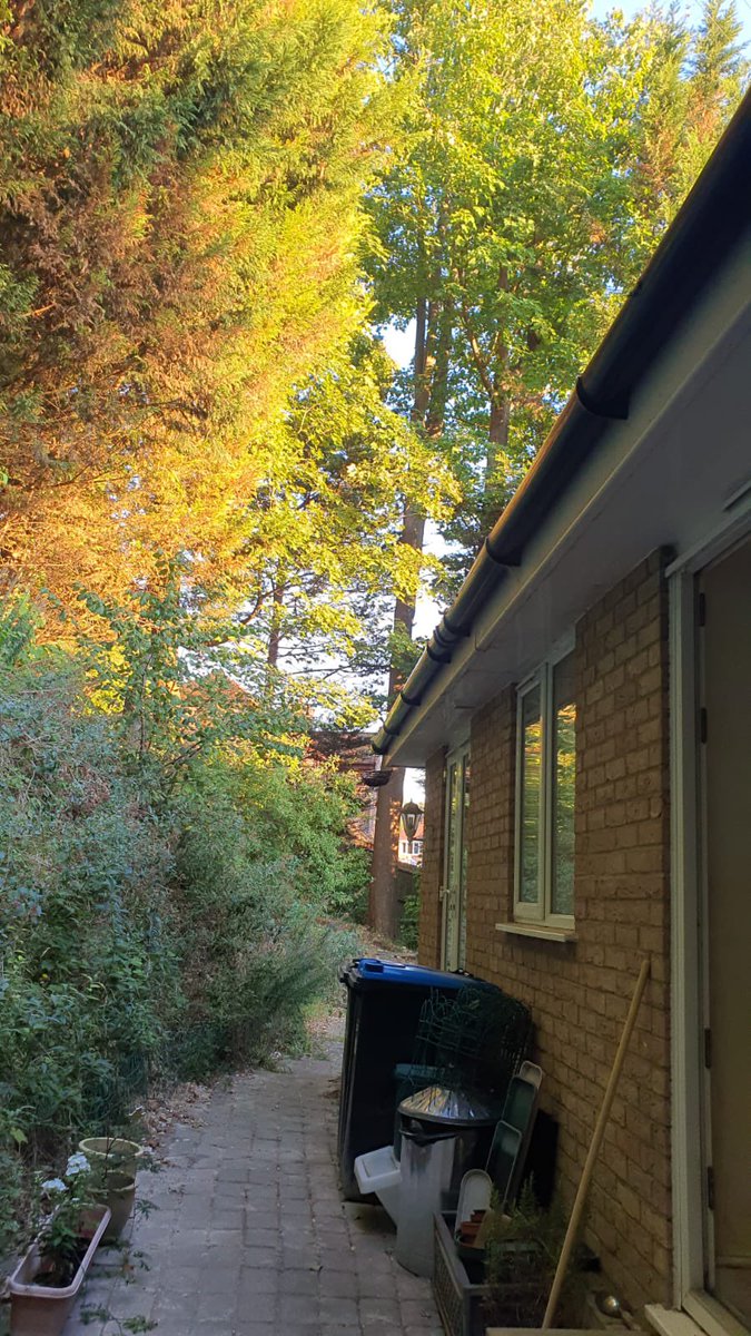 Anna Pink tweet media