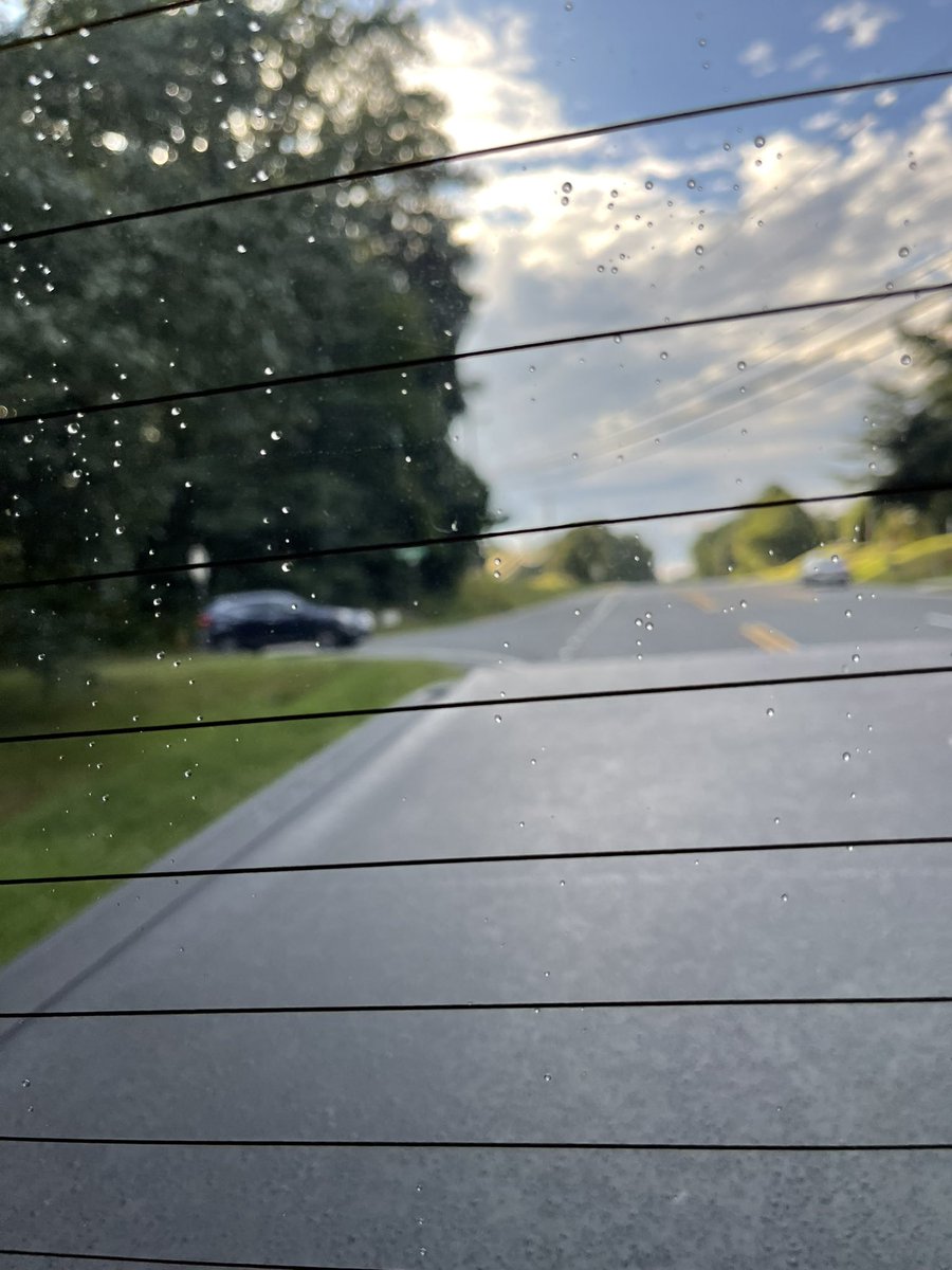 Michele Deal tweet media