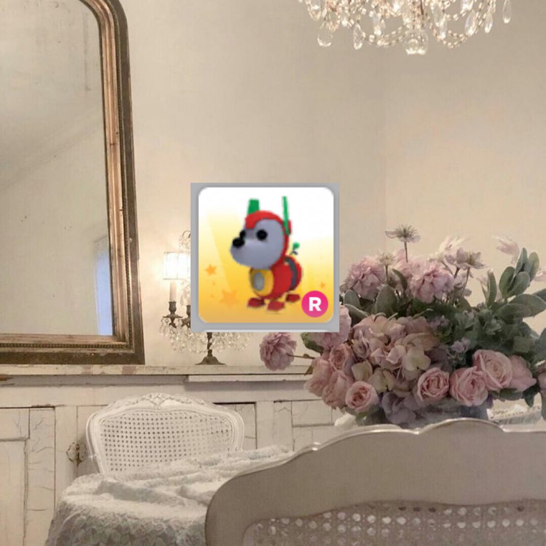 bvsichcney's tweet photo. selling #adoptme pets for #gcash 

r robo dog = ₱15
- rcbyt https://t.co/hCNjRrpoAV
- dm @klyscart to buy

🏷 #adoptmetrades #adoptmetrading #adoptmepets #adoptmesell #adoptmeselling https://t.co/uRtRQ9XGJt