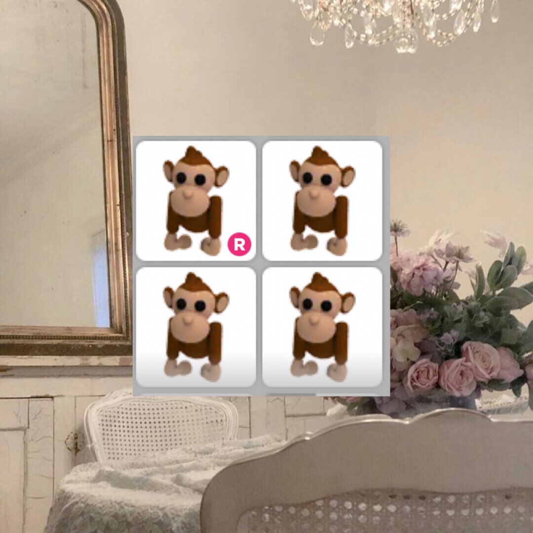 bvsichcney's tweet photo. selling #adoptme pets for #gcash 

nr monkey bundle = ₱25
- rcbyt https://t.co/hCNjRrpoAV
- dm @klyscart to buy

🏷 #adoptmetrades #adoptmetrading #adoptmepets #adoptmesell #adoptmeselling https://t.co/LUDHQOVsUf