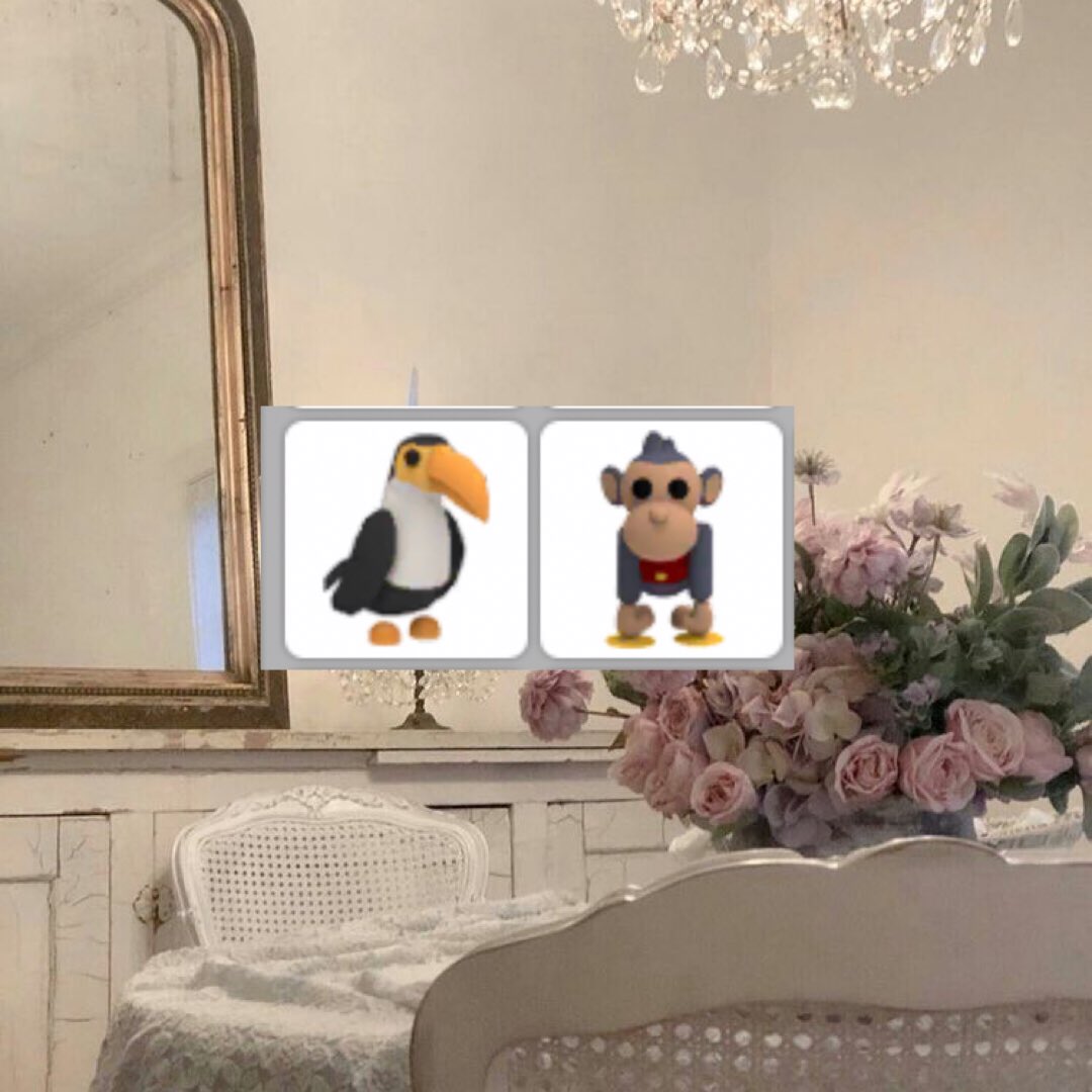 bvsichcney's tweet photo. selling #adoptme pets for #gcash 

toucan &amp; toy monkey bundle = ₱20
- rcbyt https://t.co/hCNjRrpoAV
- dm @klyscart to buy

🏷 #adoptmetrades #adoptmetrading #adoptmepets #adoptmesell #adoptmeselling https://t.co/TDjnZFZXiI