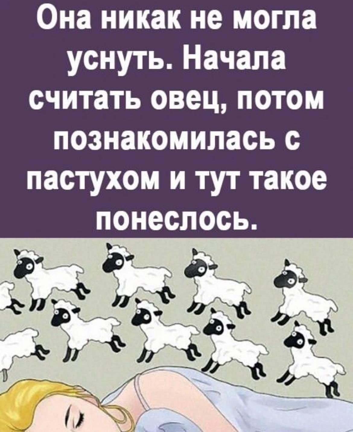 Начала считать овец познакомилась с пастухом