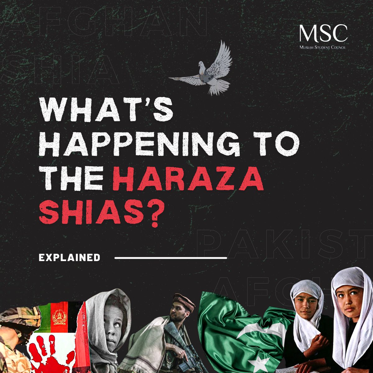 MSC_UK's tweet photo. What’s happening to the Hazara Shias and how we can bring change! #StopHazaraGenocide https://t.co/Q8ePIzz57v