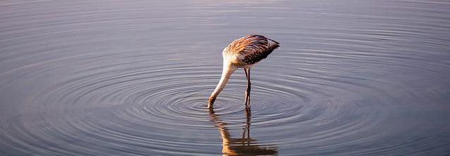 ¿Por qué se mide el cuello del útero en el embarazo? gineline.com/por-que-se-mid… #Cervix #Cervicometría #CuelloUterino #PartoPrematuro Si se objetiva un acortamiento del cuello durante el embarazo existen alternativas y herramientas para disminuir ese riesgo.