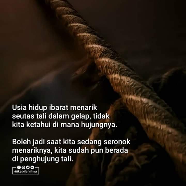 sofiaizara1's tweet image. 